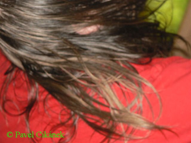 17  Jirka Cox se necht l fotit